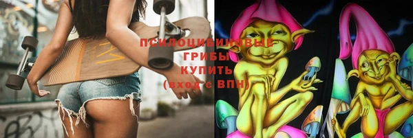 Альфа ПВП Горно-Алтайск