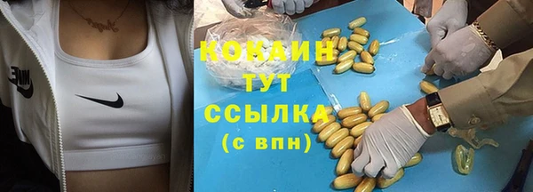 PSILOCYBIN Горнозаводск