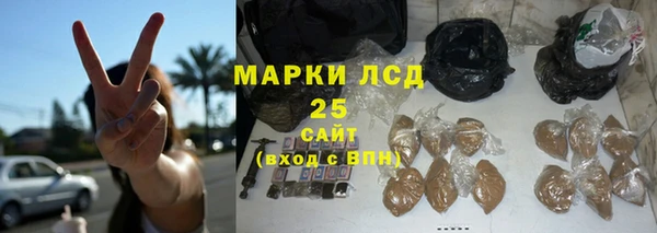 PSILOCYBIN Горнозаводск