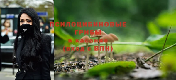 Альфа ПВП Горно-Алтайск