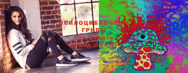 тгк Горняк