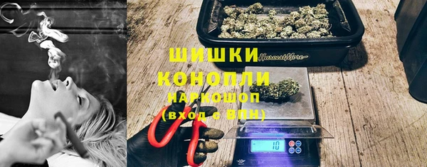 PSILOCYBIN Горнозаводск