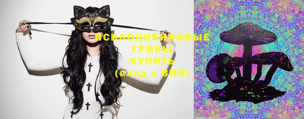 тгк Горняк