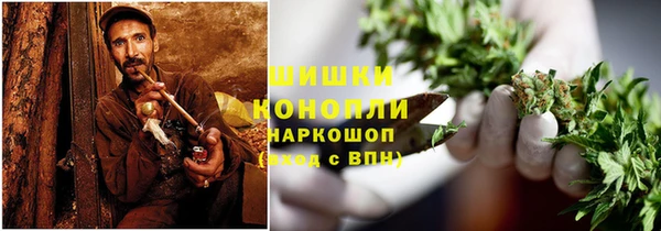 PSILOCYBIN Горнозаводск