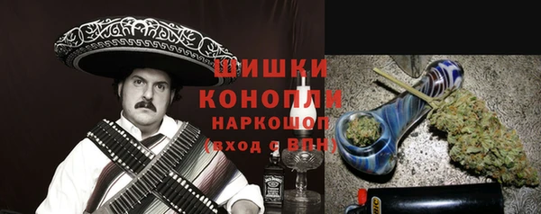 PSILOCYBIN Горнозаводск