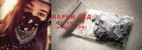 PSILOCYBIN Горнозаводск
