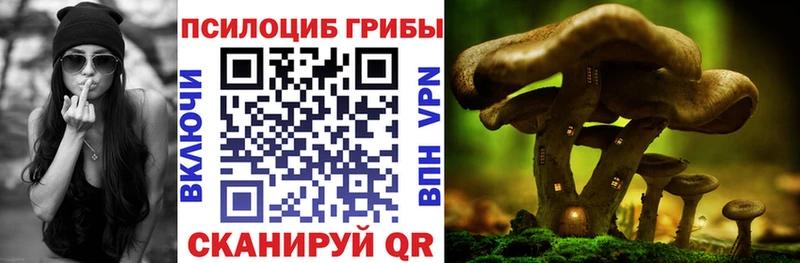 МЕГА ССЫЛКА  Цоци-Юрт  Галлюциногенные грибы Magic Shrooms 