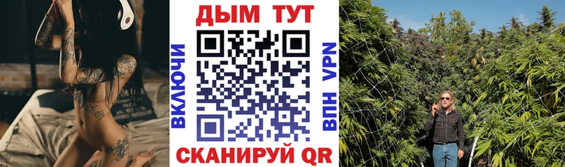 Бошки Шишки семена Цоци-Юрт